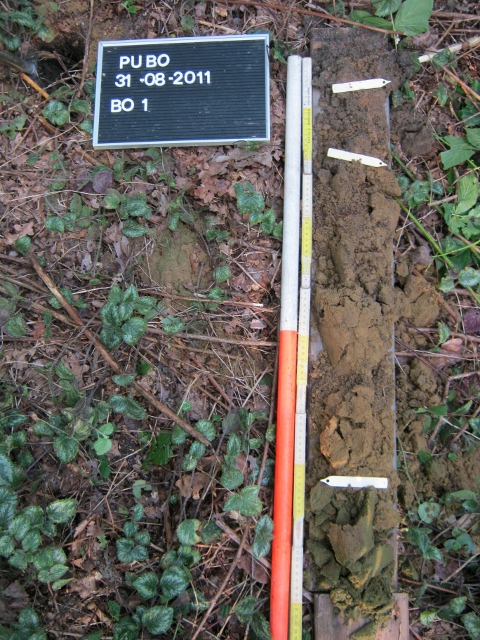 Archeologienota